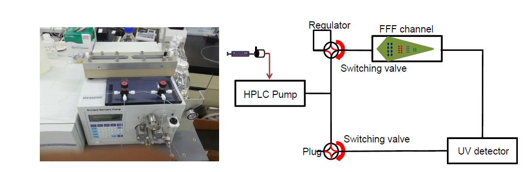 Homemade FFF system. (left) picture; (right) schematic diagram