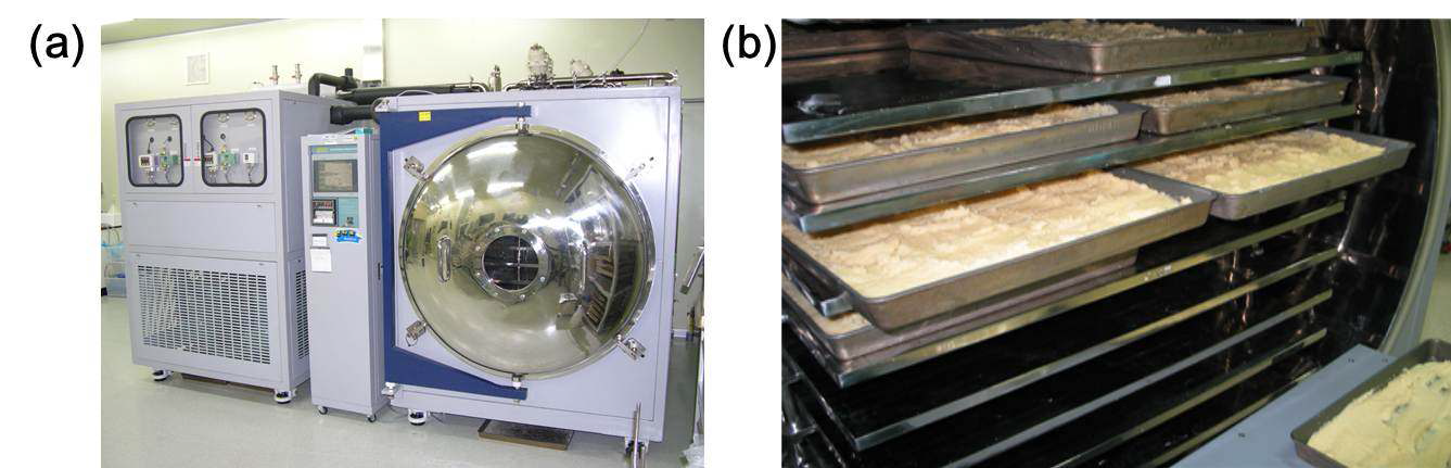 Freeze-drying of garlic paste obtained from milling process: (a) freeze-dryer in KRISS, (b) garlic paste in freeze-dryer