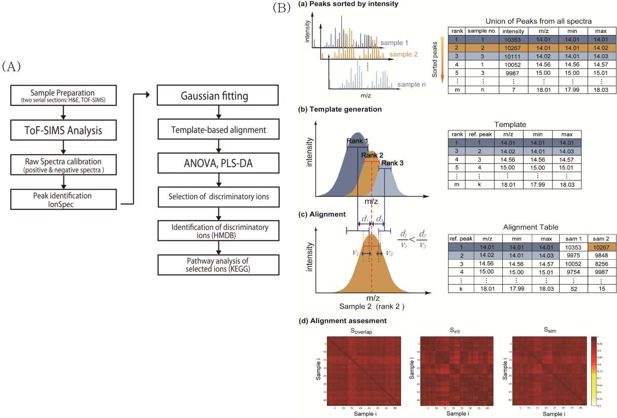 Fig. **. TOF-SIMS 데이터의 automatic analysis (A) framework (B) Peak alignment