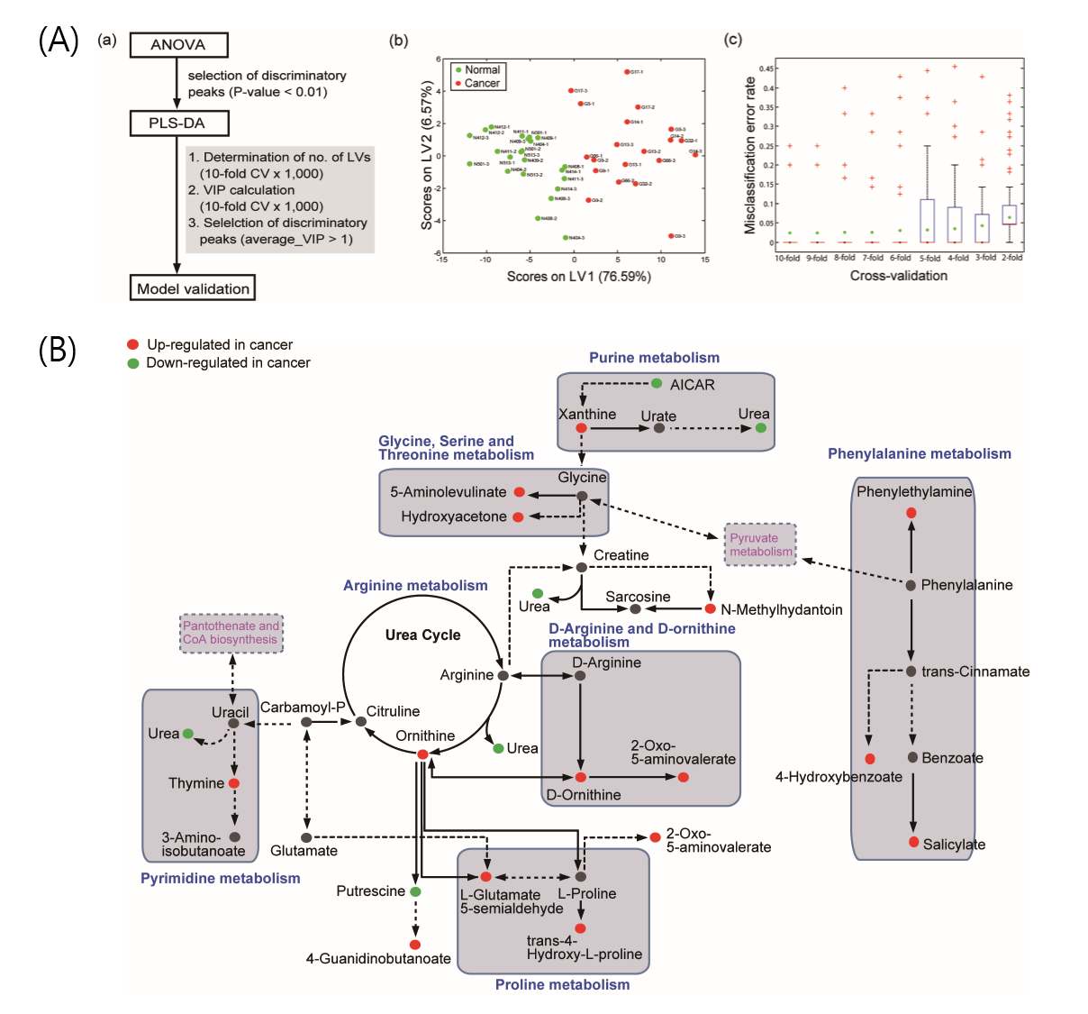 Fig. **. 위암조직과 정상조직의 TOF-SIMS 데이터의 통계처리 (A) PLS-DA 통계 (B) Amino acid와 nucletide metabolic pathway의 네트워크