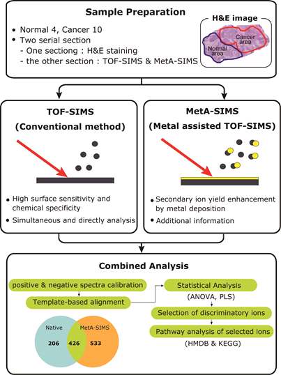 Fig. **. 일반적인 TOF-SIMS방법과 MetA-SIMS 방법의 비교 및 통계 처리과정 모식도