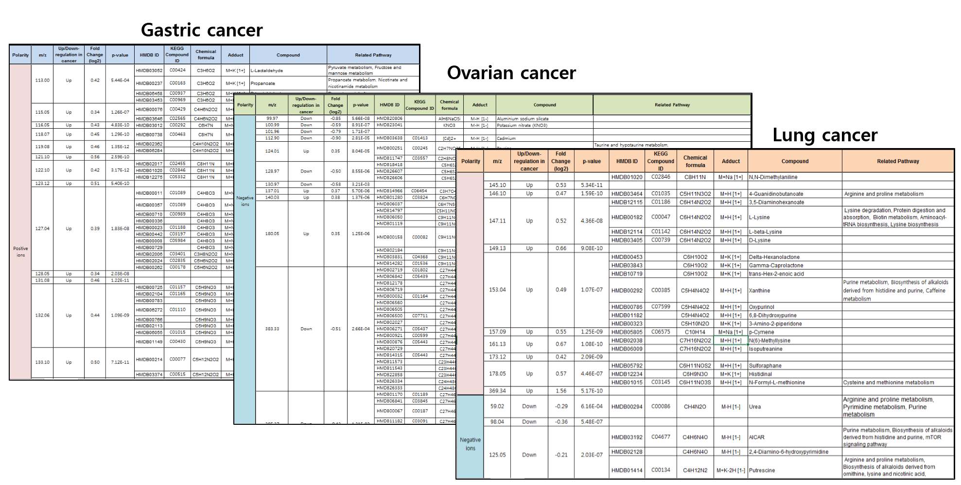 Fig. **. 대사생분자 signature system을 이용하여 난치성 암 종류별 (위암, 난소암, 폐암) 대사생분자 database 구축