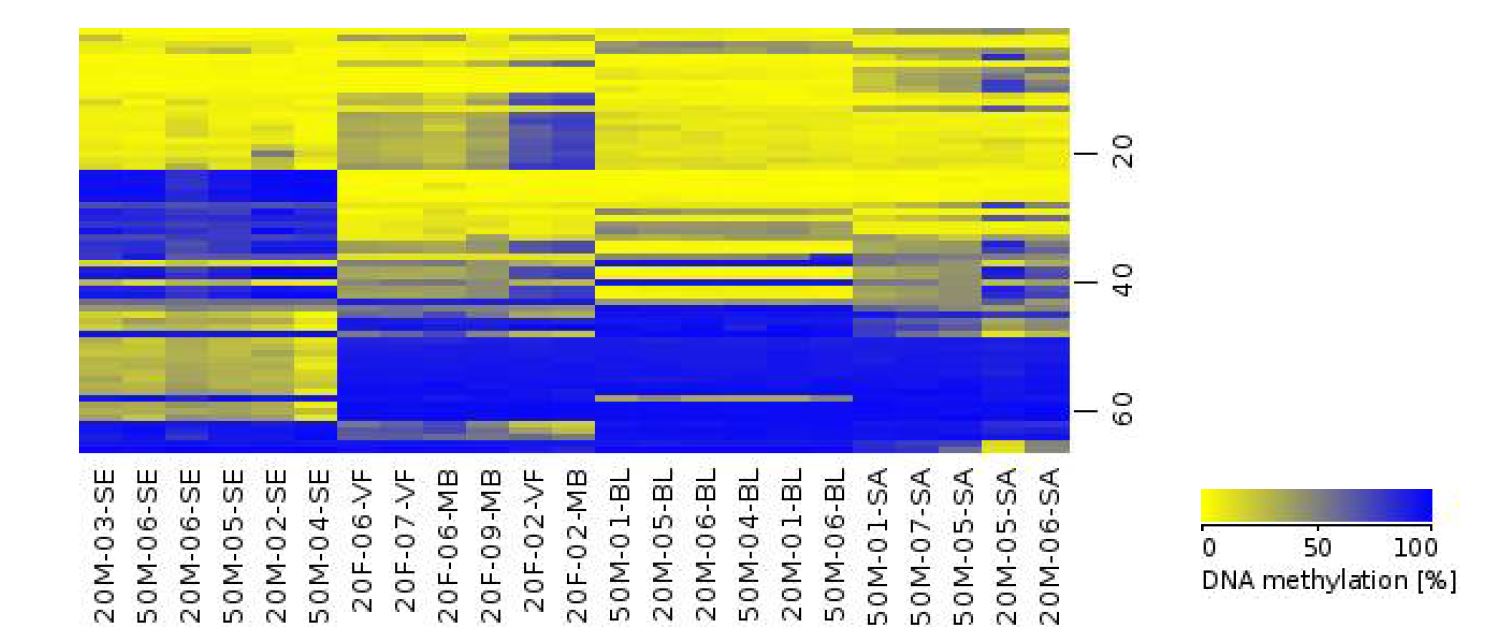 그림 4. 23개 체액 시료의 HumanMethylation450 BeadChip array 결과로부터 얻은 66개 체액 특이적 후보 CpG site의 methylation map