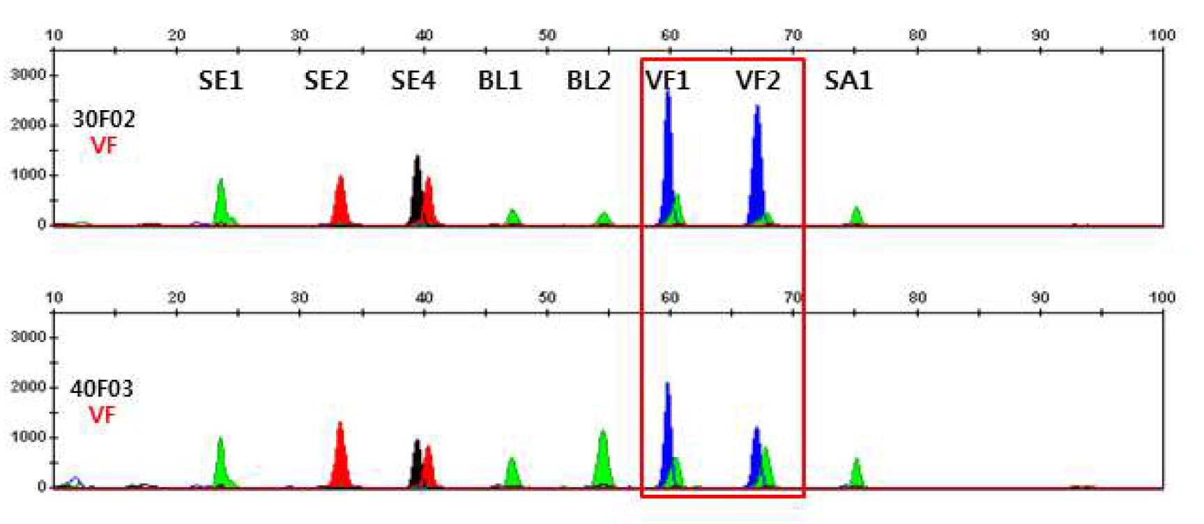 그림 10. 질분비액에서 multiplex methylation SNaPshot을 이용한 DNA methylation profiling