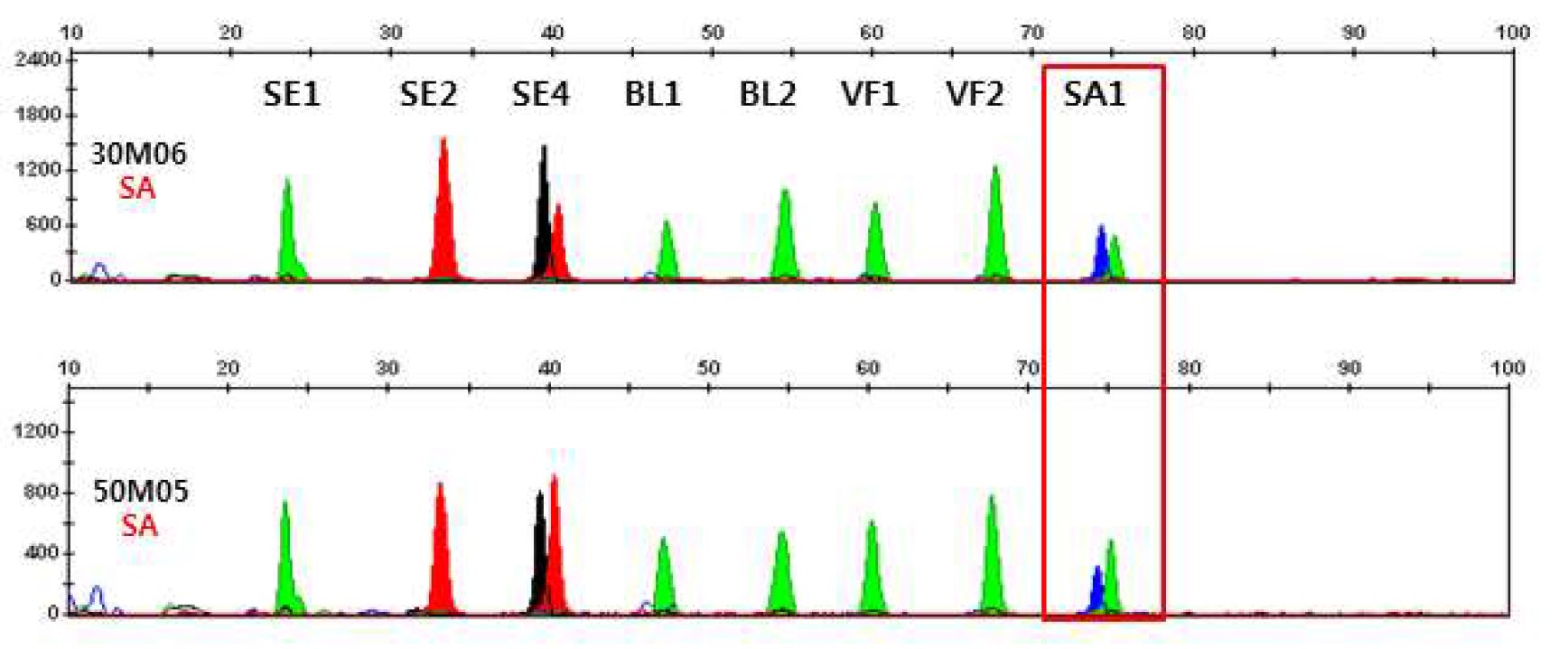 그림 8. 타액에서 multiplex methylation SNaPshot을 이용한 DNA methylation profiling