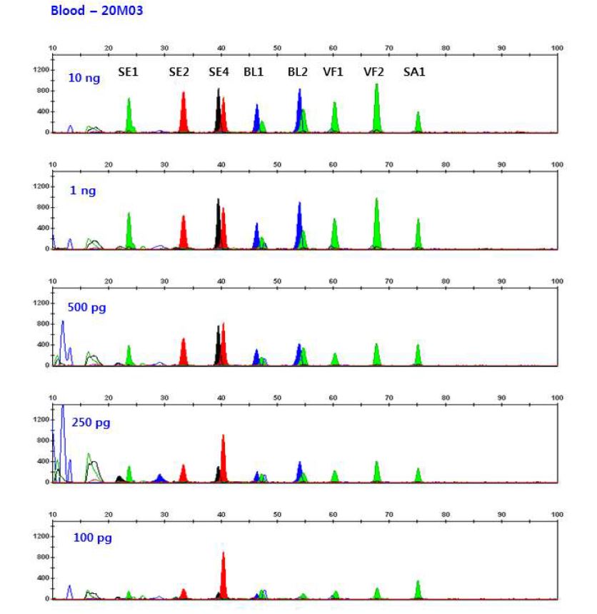 그림 11. 다양한 농도의 혈액 DNA에서 multiplex methylation SNaPshot을 이용한 DNA methylation profiling