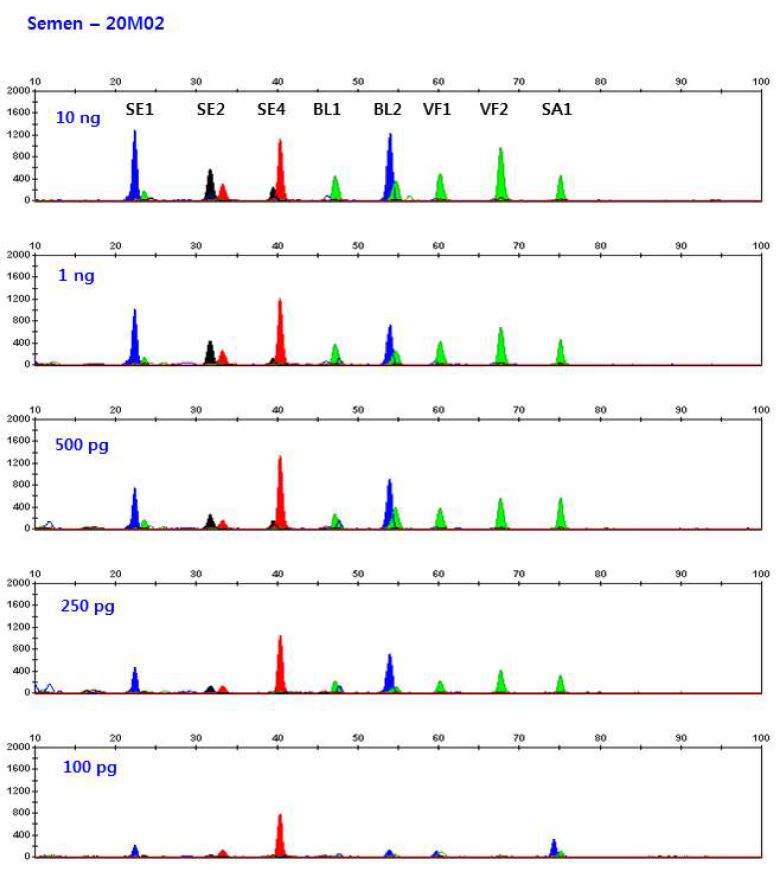 그림 13. 다양한 농도의 정액 DNA에서 multiplex methylation SNaPshot을 이용한 DNA methylation profiling