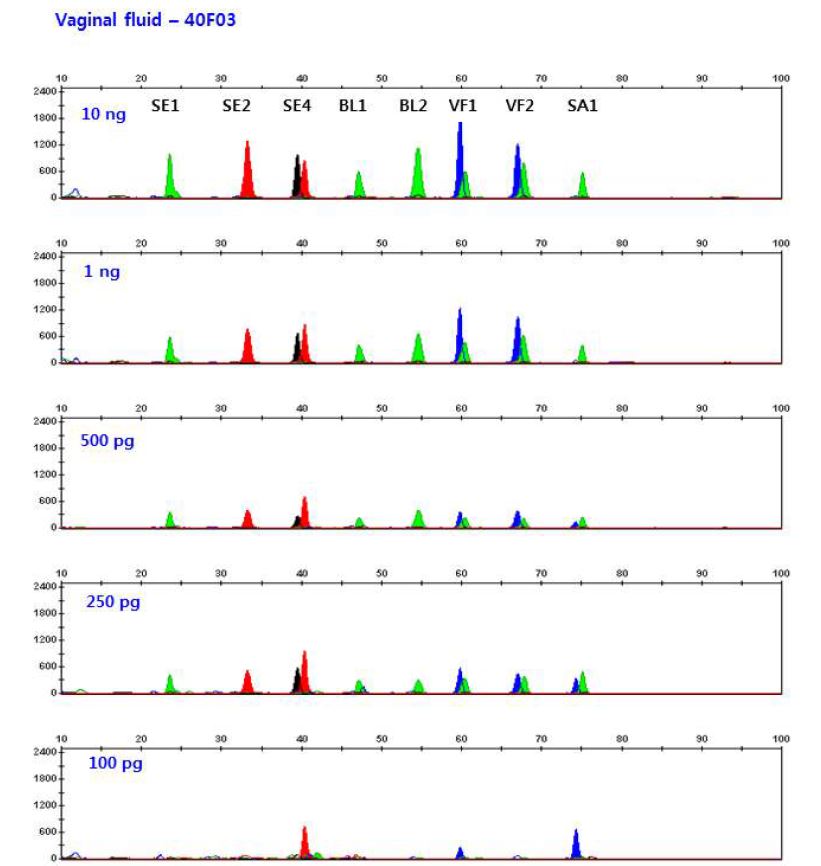 그림 14. 다양한 농도의 정액 DNA에서 multiplex methylation SNaPshot을 이용한 DNA methylation profiling