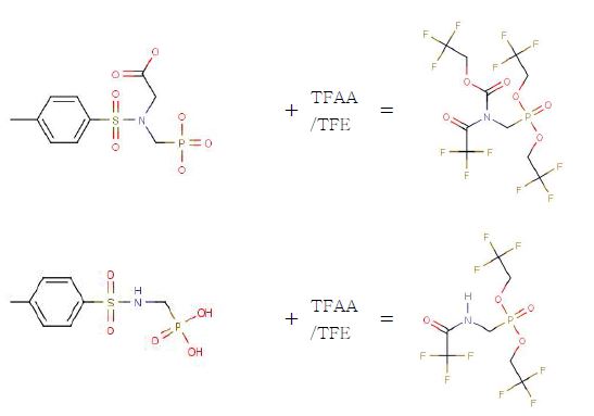 Figure 2. 2nd derivatives of glyphosate and AMPA by TFAA and TFE