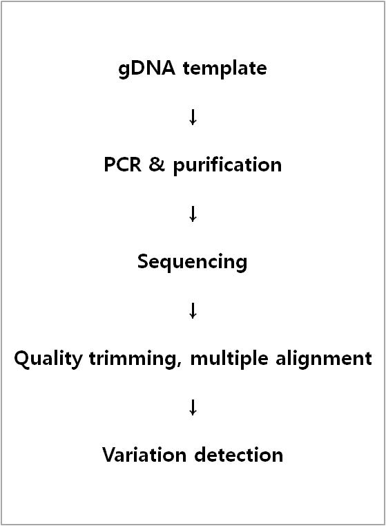 Fig. 1. Flow chart of the experiment.