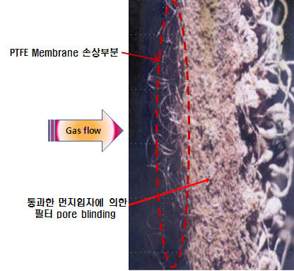 PTFE membrane이 손상된 부분을 통과한 먼지입자가 필터 내부에서 축적된 현상.