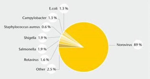 Lab confirmed Etiologies of Gastroenteritis Outbreaks, 2005–2009