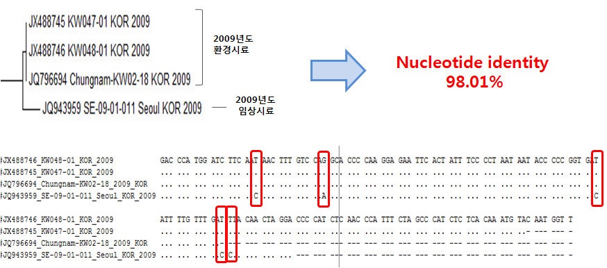 Close relation with patient and environment samples of Norovirus GⅠ in 2009