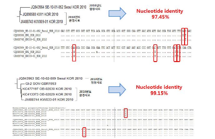 Close relation with patient and environment samples of Norovirus GⅠ in 2010