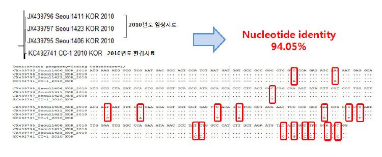 Close relation with patient and environment samples of Norovirus GⅡ in 2010