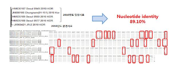 Close relation with patient and environment samples of Norovirus GⅠ in 2011