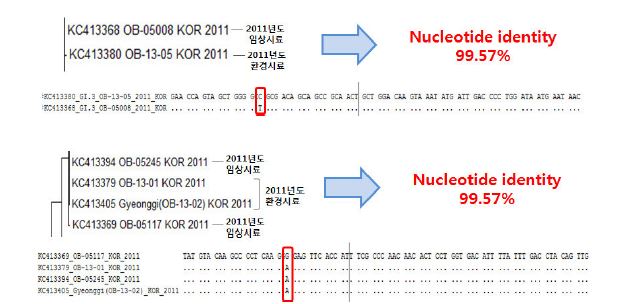 Close relation with patient and environment samples of Norovirus GⅠ in 2011