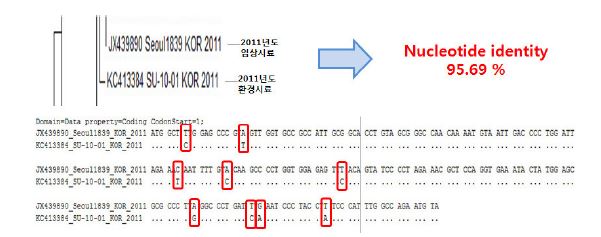 Close relation with patient and environment samples of Norovirus GⅡ in 2011