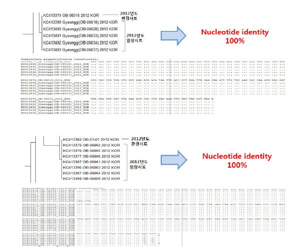 Close relation with patient and environment samples of Norovirus GⅡ in 2012