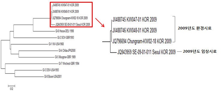 Phylogenetic analysis of Norovirus GⅠ in 2009