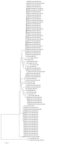 Phylogenetic analysis of Norovirus GⅡ in 2009