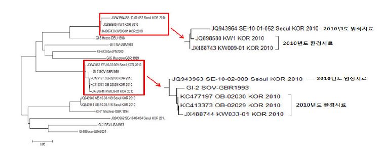 Phylogenetic analysis of Norovirus GⅠ in 2010