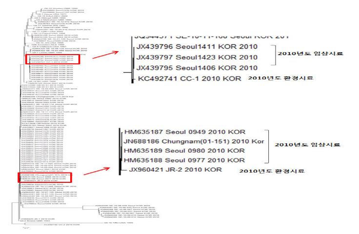 Phylogenetic analysis of Norovirus GⅡ in 2010