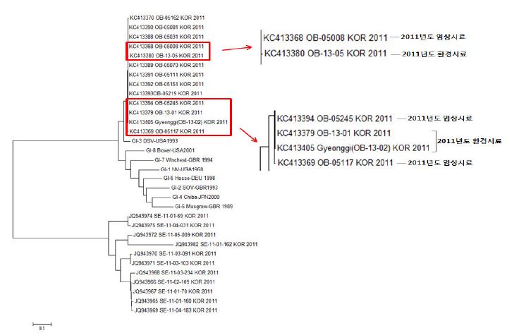 Phylogenetic analysis of Norovirus GⅠ in 2011