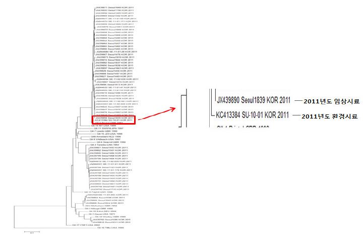 Phylogenetic analysis of Norovirus GⅠ in 2011