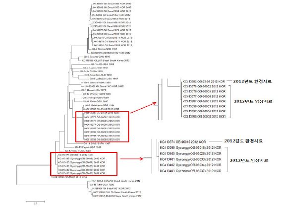 Phylogenetic analysis of Norovirus GⅡ in 2012