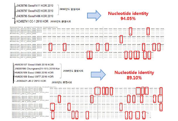 Genetics sequences analysis of Norovirus GⅡ in 2010