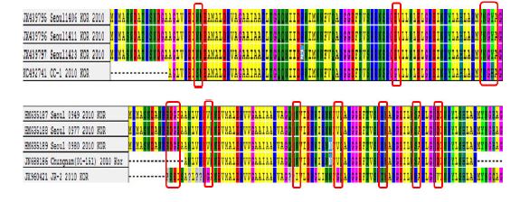 Amino acid sequences analysis of Norovirus GⅡ in 2010