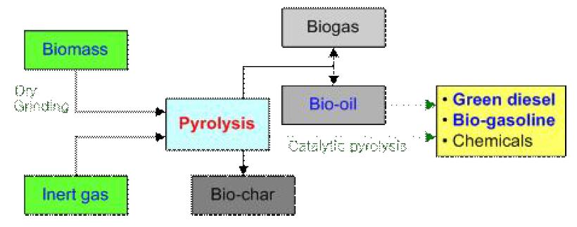 Schematic diagram of alge biomass pyrolysis.