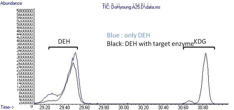 반응 전 후의 GC/MS profile. 파란 실선은 DEH만을 GC/MS로 분석한 TIC (total ion chromatogram), 검은 실선은 DEH와 타겟 단백질을 반응 시킨 후 GC/MS로 분석한 TIC