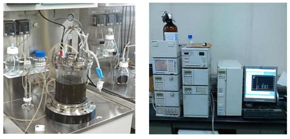 실험에 이용된 2L Bioreactor 및 HPLC의 사진.