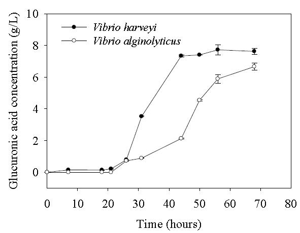 Alginate lyase activity detected during the time course of biological pretreatment; Substrate, 10 g/L of sodium alginate