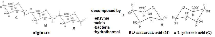 알지네이트의 구조 및 분해방법.