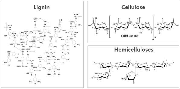 목질계 바이오매스의 주요 성분들.