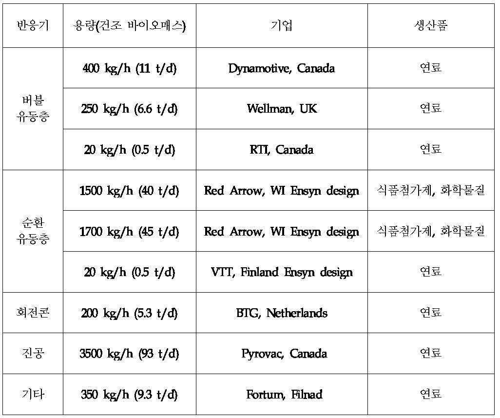 파일럿 규모의 바이오매스 급속열분해 기술