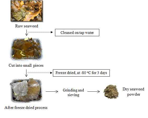 Brown seaweed pre-treatment process.