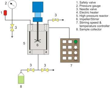 Schematic diagram for sub/supercritical hydrolysis.