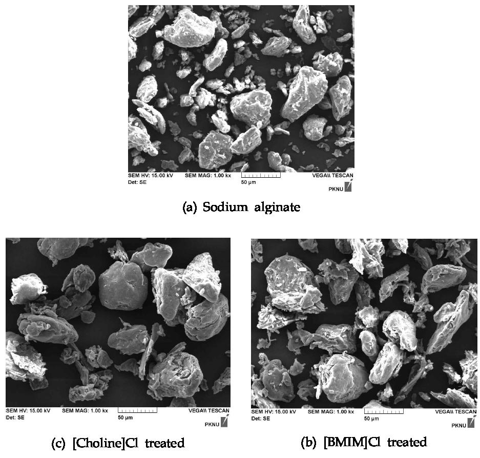 SEM image of sodium alginate (a); Sodium alginate, (b); [Choline]Cl treated, (c); [BMIM]Cl treated