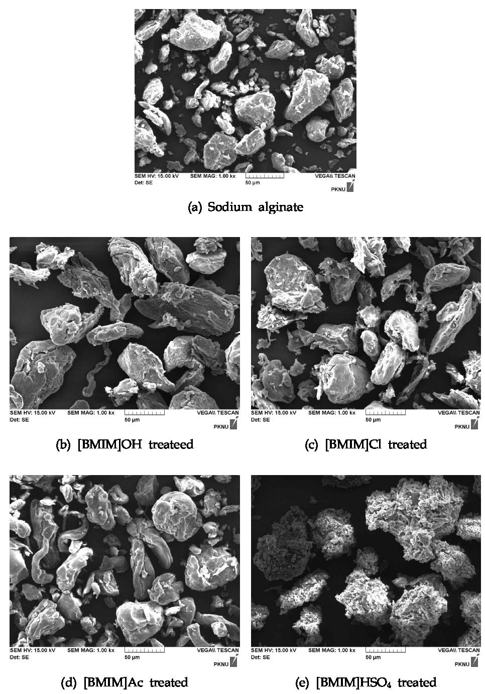 SEM image of sodium alginate (a); Sodium alginate (b); [BMIM]OH treated, (c); [BMIM]Cl treated, (d); [BMIM]Ac treated, (e); [BMIM]HSO4 treated