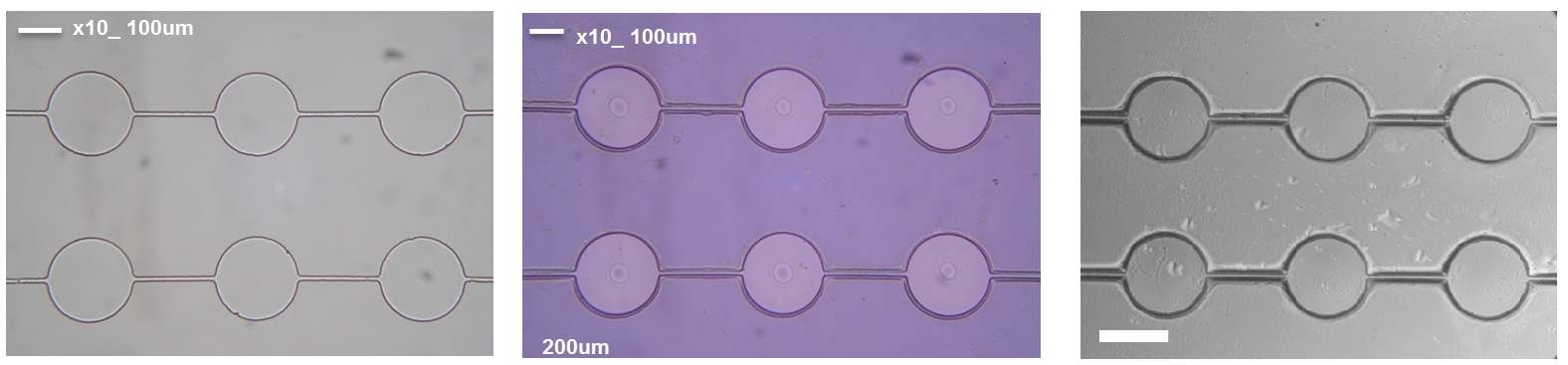 iCVD를 이용하여 제작한 microfluidic 구조. 좌측: Si mold. 중앙: SiN wafer에 옮겨진 채널구조. 우측: 바닥면을 제거한 free-standing 구조.