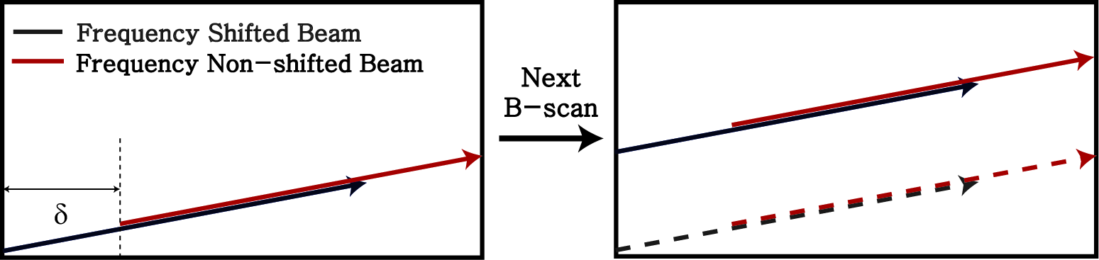 Dual beam scanning of Doppler OFDI system