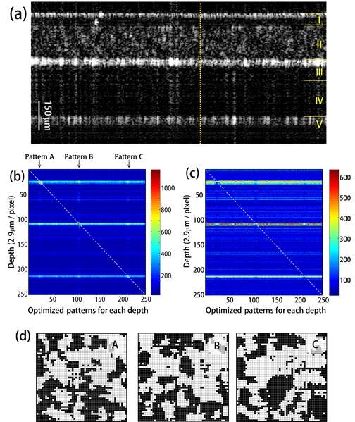 실험 결과. (a) 1번째 샘플의 B-scan 영상으로 투명테이프(I), 10um 비드를 섞은 PDMS (II), 불투명테이프(III), cover glass(IV), 그리고 불투명테이프(V)로 구성했다. (b) 와 (c)는 (a)에서 노란색 점선의 영역에 대한 실험결과로서 세로축은 깊이 방향이고 가로축은 각 깊이에 대한 새로운 파면을 입사한 결과이며 각각 반응 신호를 최대화와 최소화한 결과에 해당된다. (d)는 (b)에서 각 위치들(Pattern A, B, C)의 반응 신호를 최대화하도록 최적화한 DMD 패턴에 대한 영상이다.