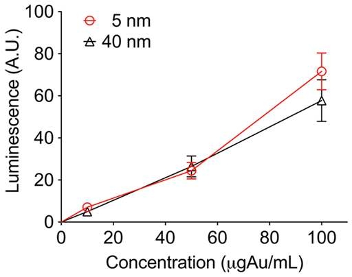 농도에 따라 금나노입자의 이광자발광 신호의 세기가 비례하여 증가함.