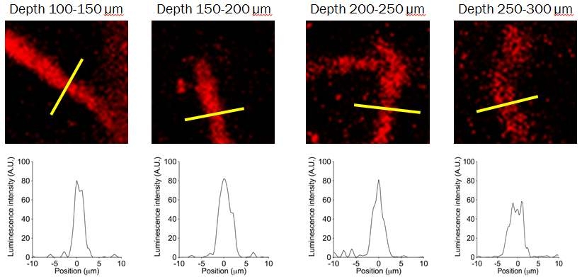 금나노입자의 이광자발광을 이용해 300um 내의 10um 이하의 뇌혈관이 시각화됨을 확인함.