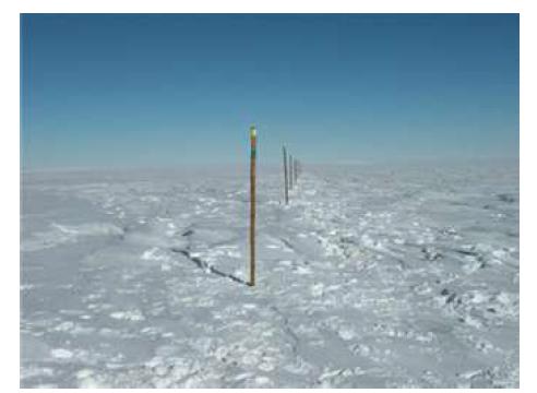 Bamboos for measuring snow heights in 2011