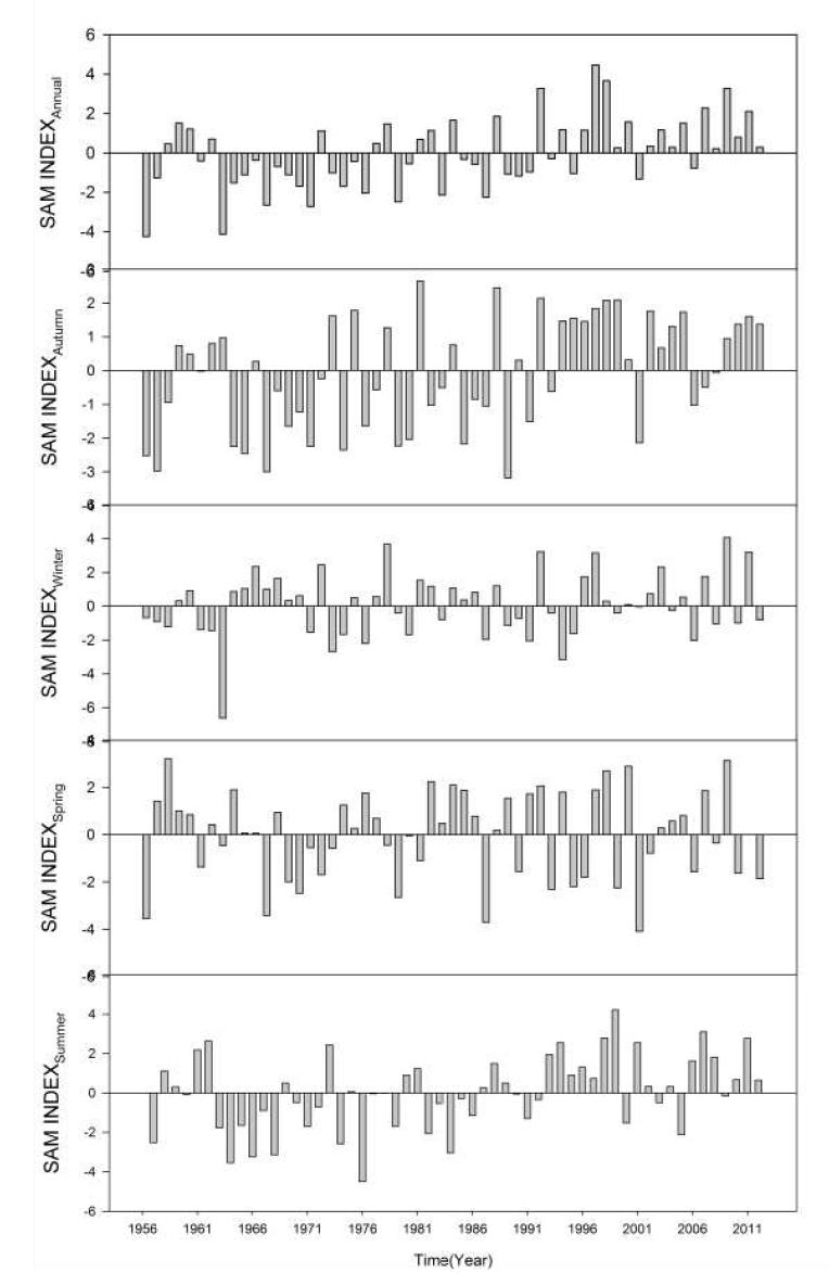 Temporal variations of SAM Index